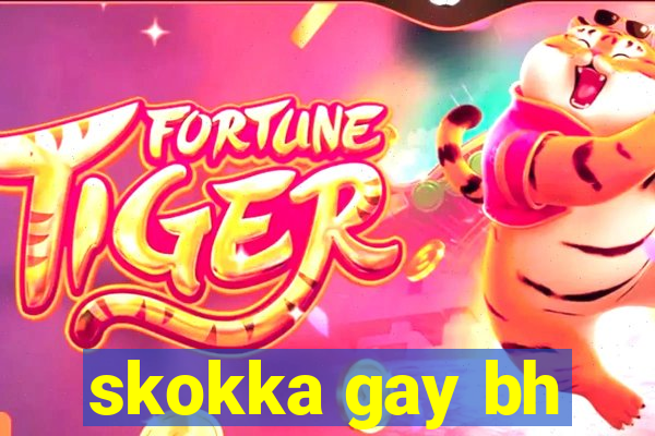 skokka gay bh